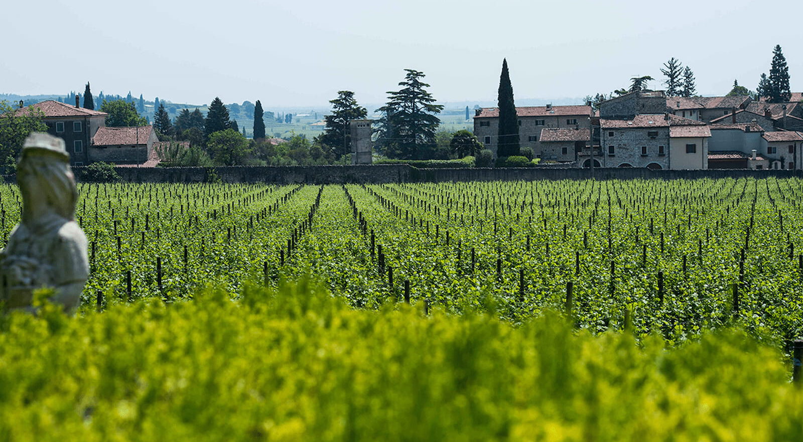 Wedding in countryside villa in the heart of the Valpolicella wine